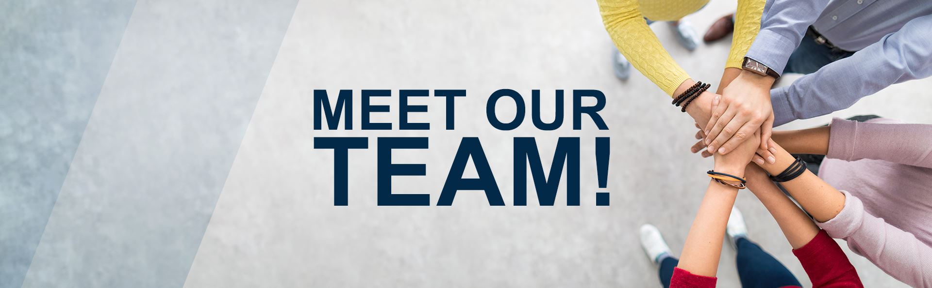 meet the team